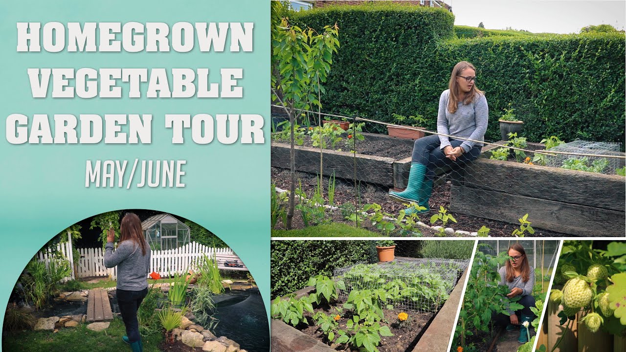 Vegetable Garden Tour 2020 | Our Homegrown Vegetable Garden | May/June