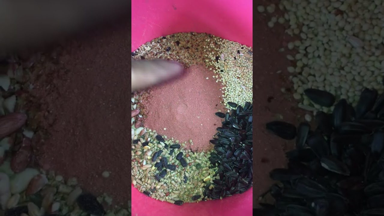 Foodmix + Minerals and Vitamins for Hamsters needs, Ano ano nga ba ito?