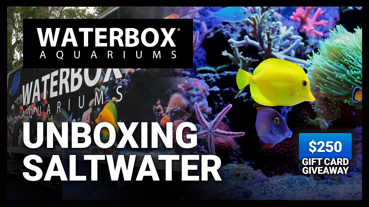 Unboxing the MARINE X 110.4 Saltwater Aquariums - Episode 172