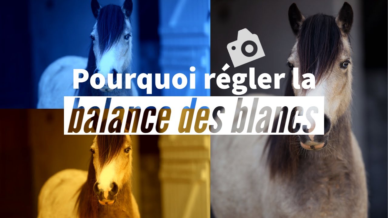 Tout sur la balance des blancs - Les bases de la photographie - Episode 8