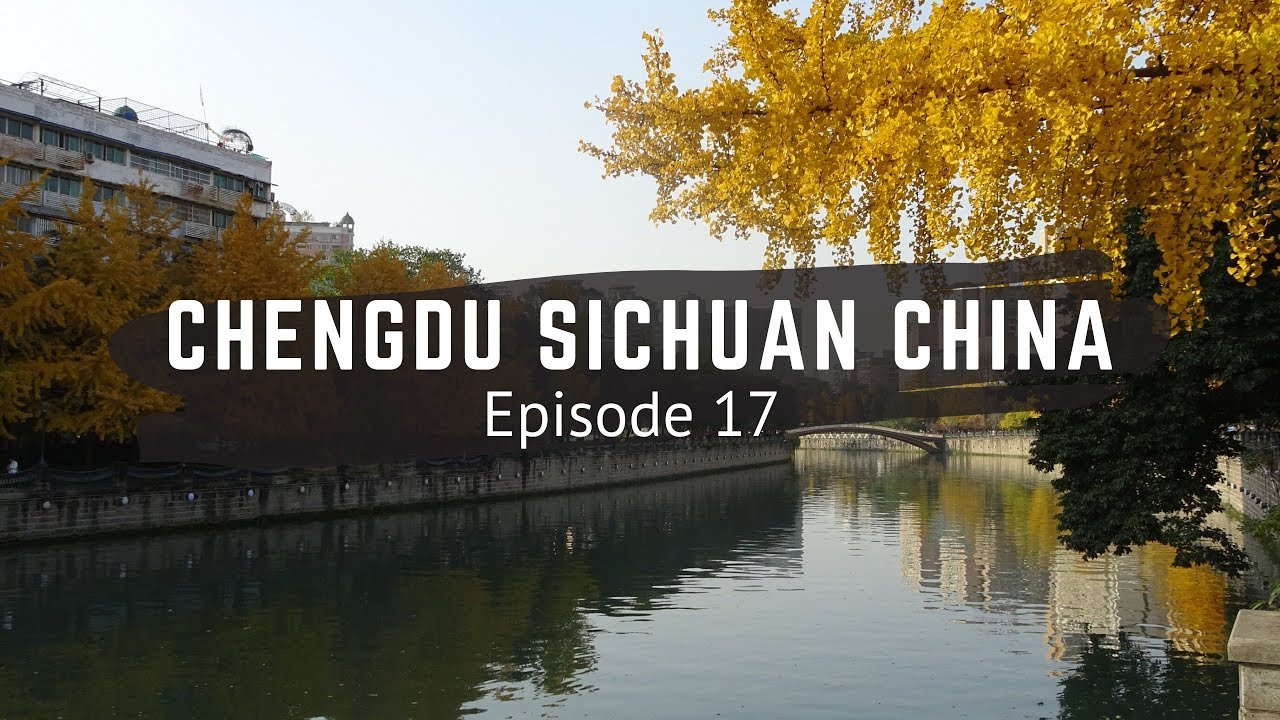 Chengdu - Sichuan China - A Culinary Delight and Pandas - Travel China - China Vlog - Episode 17
