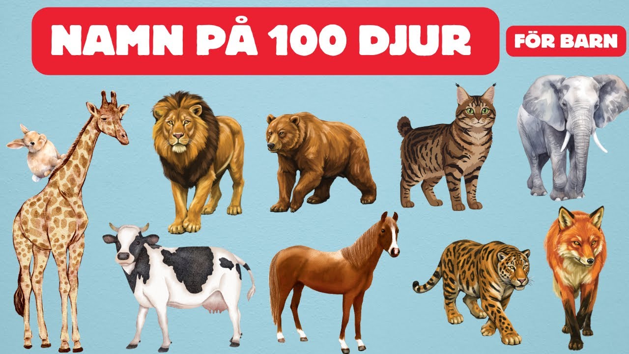 100 Namn på Djur & Insekter  | Lärorik Video på Svenska | För Barn
