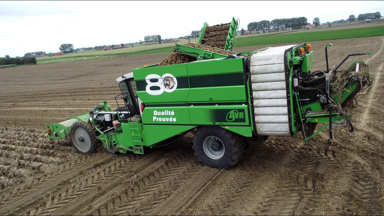 AVR Puma 4 rangs à la récolte des pommes de terre en 2011