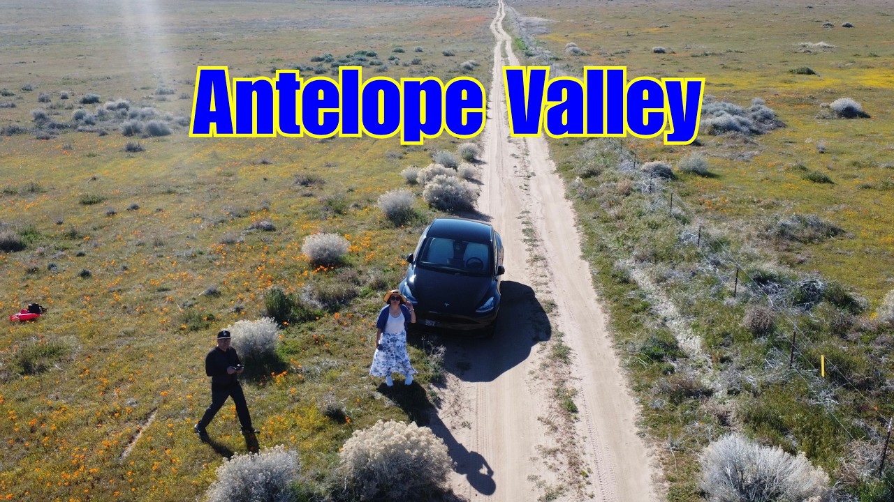Wildflowers Drone Video in Lancaster California