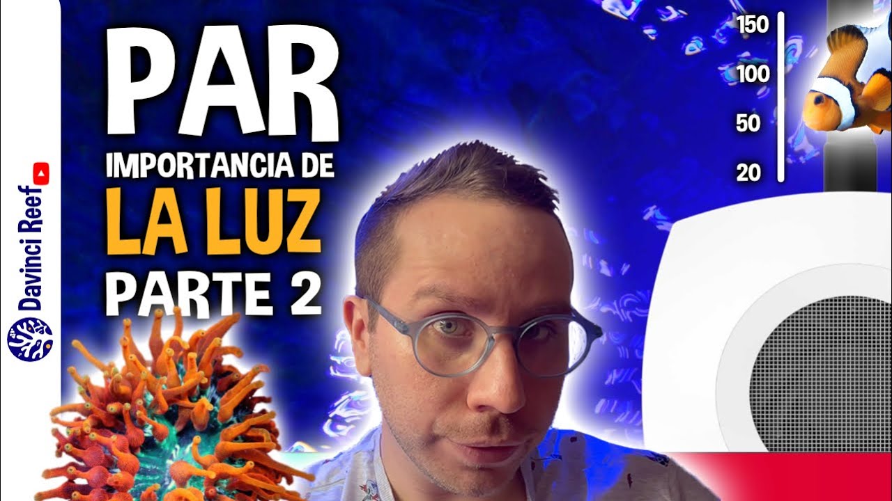 PAR en los acuarios marinos - Iluminación para acuarios