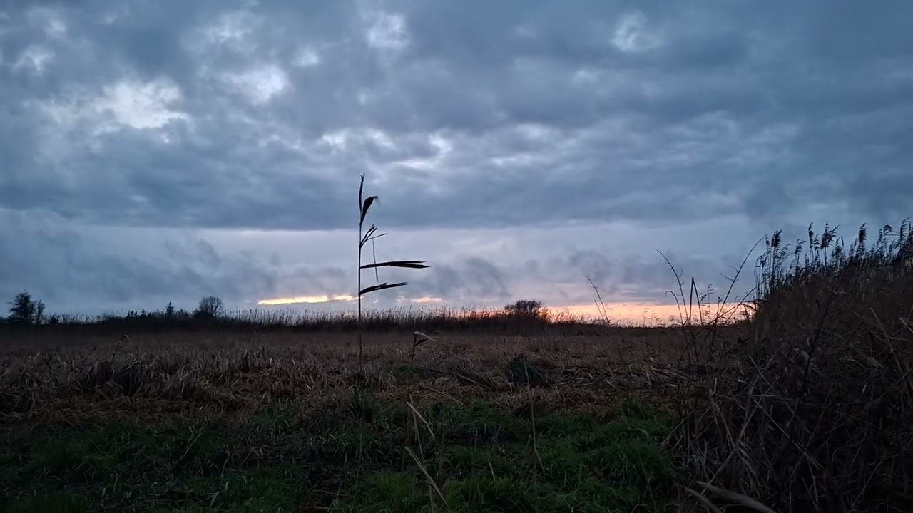 Gedanken in der Natur