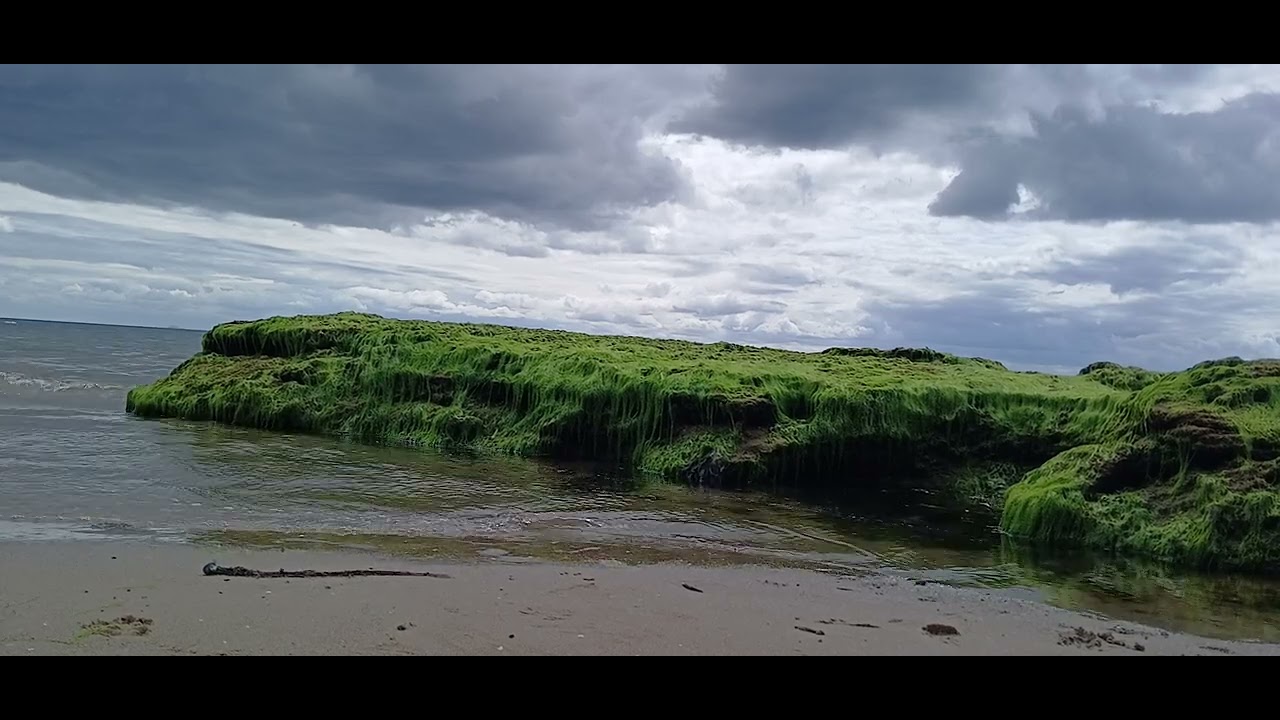 The River Forth Scotland