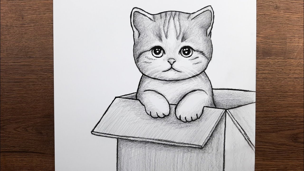 Kolay karakalem sevimli kedi çizimi - Kedi resmi nasıl çizilir - Kolay hayvan çizimleri