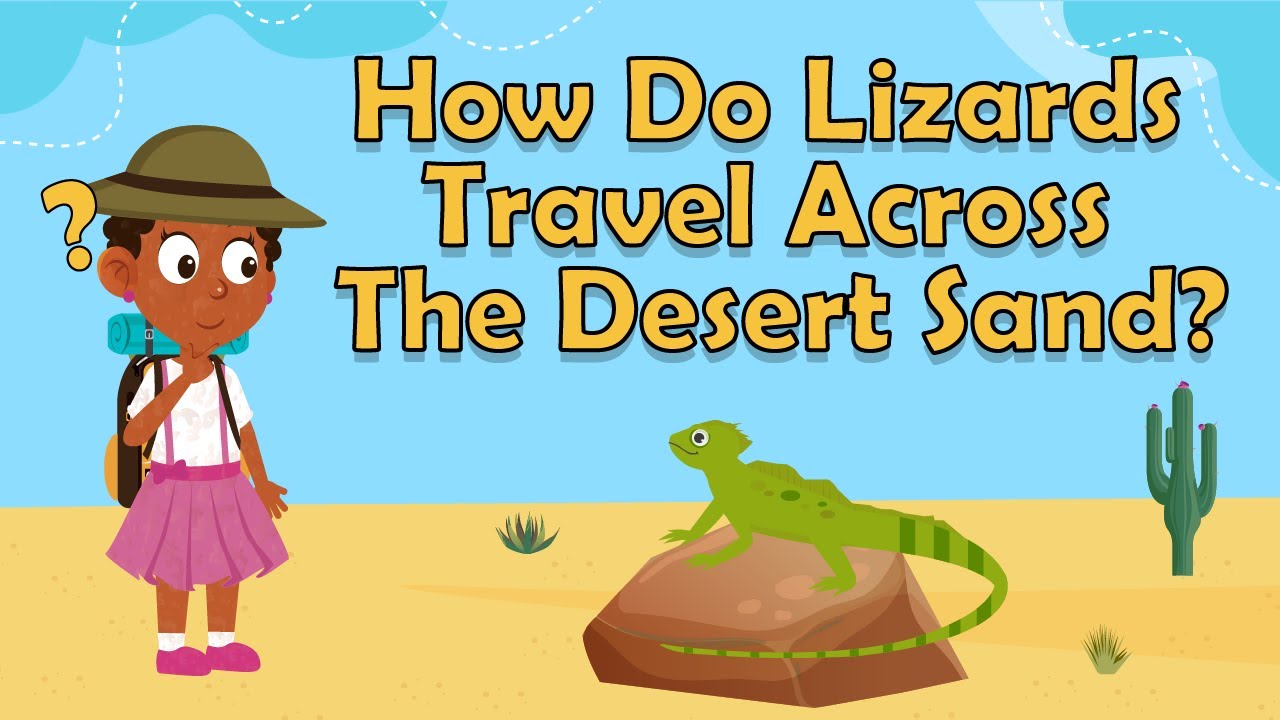 How Do Lizards Travel Across The Desert? | Animal Facts For Kids | Facts About Lizards