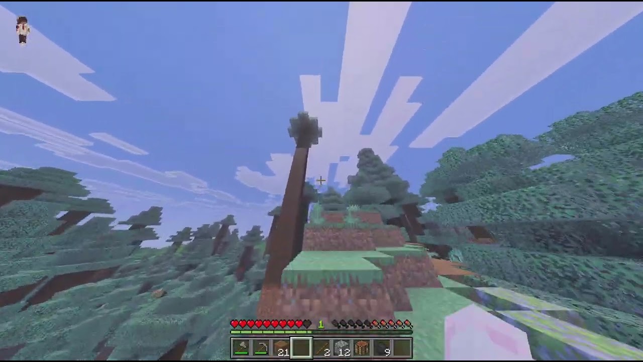 Minecraft survival