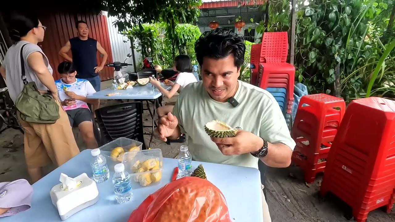 DURIAN MALAYSIA |  DURIAN MUSANG KING |  BLACK THORN |  মালয়েশিয়ান ডুরিয়ান  | DURIAN BALIK PULAU  |