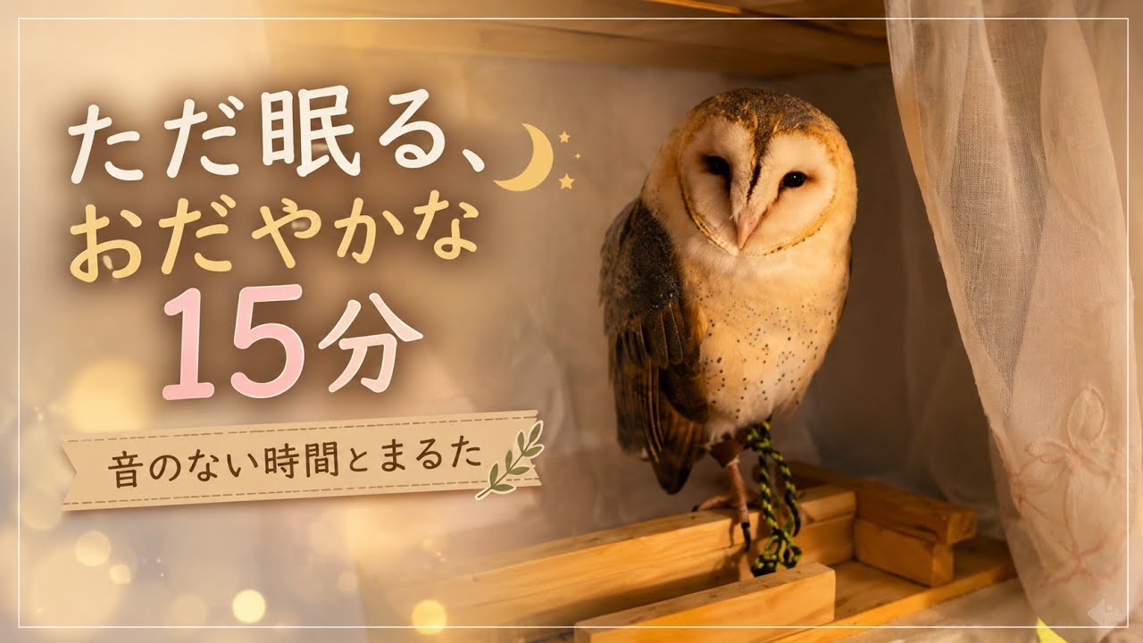 ｢ただ眠る、おだやかな15分｣｜音のない時間とまるた