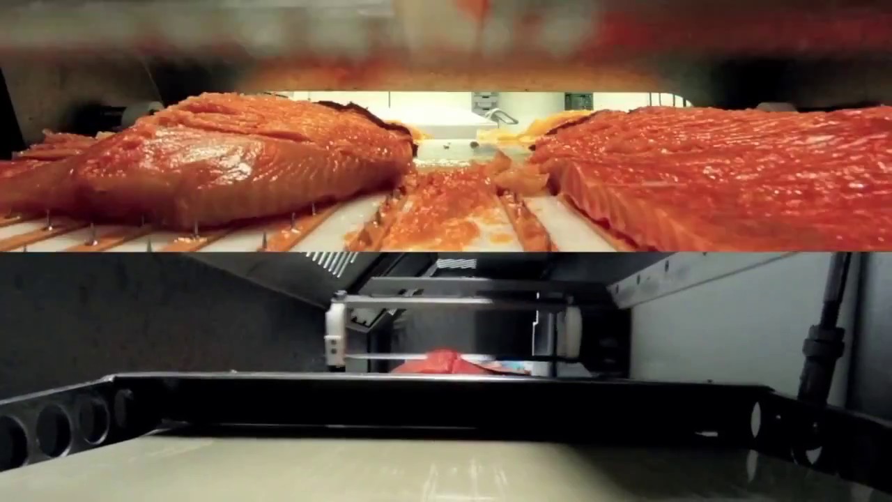 Foodlab  lavorazione del Salmone