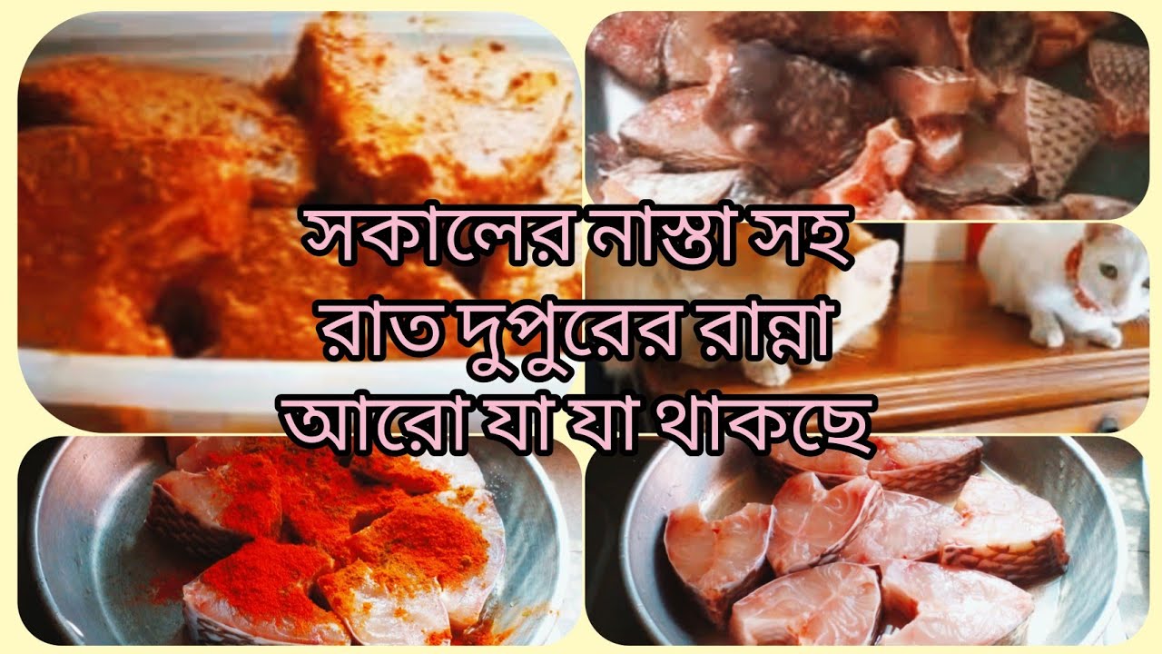 সকালের নাস্তা সহ রাত দুপুরের রান্না আরো যা যা কাজ করলাম #Shirinsvlog