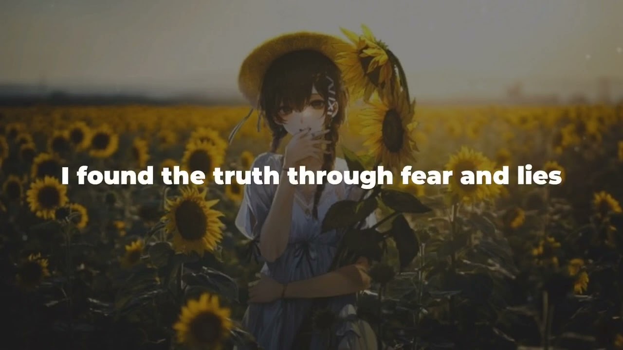Carnations | Mr.Kitty | Lyrics