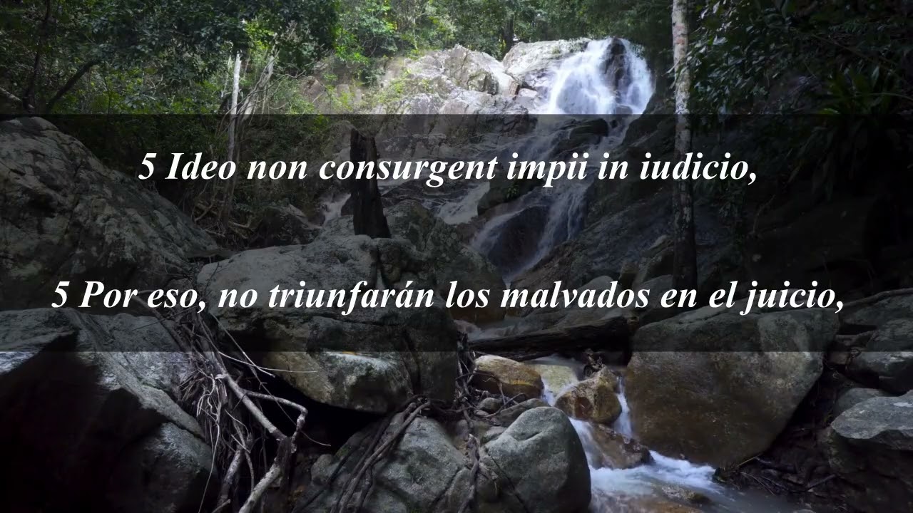 Canto Gregoriano | Salmo 1 - El camino de los justos