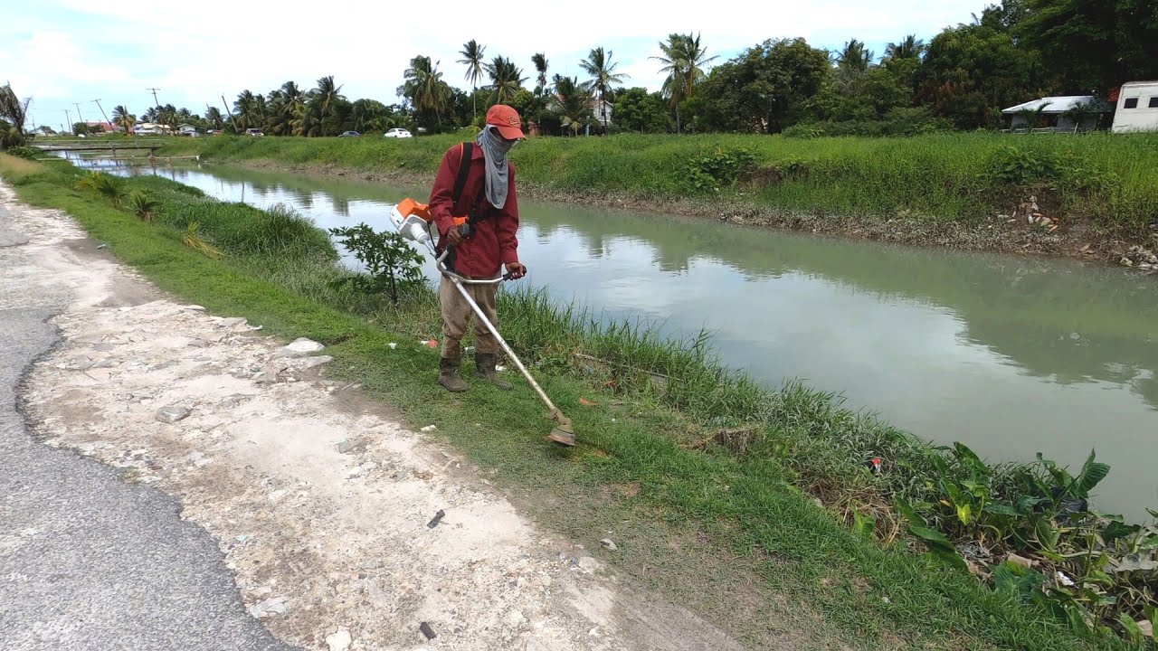 WEEDING OUT THE GRASS IN GUYANA, A SIDE HUSTLE