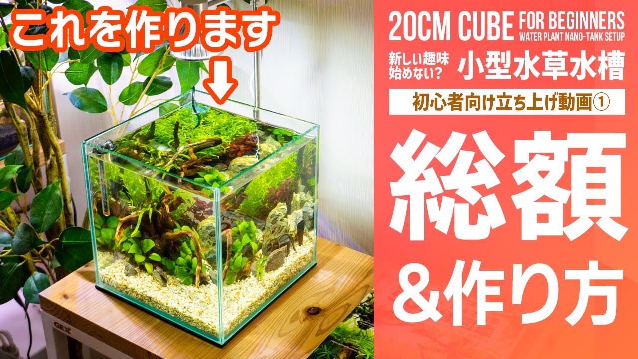 【小型水槽の作り方①】20cmの小さい水草水槽！総額いくら？初心者向け立ち上げ方法紹介、春の新生活に新しい趣味グラスアクアリウムで熱帯魚飼育！【アクアリウムの始め方】 【ビバアクア】