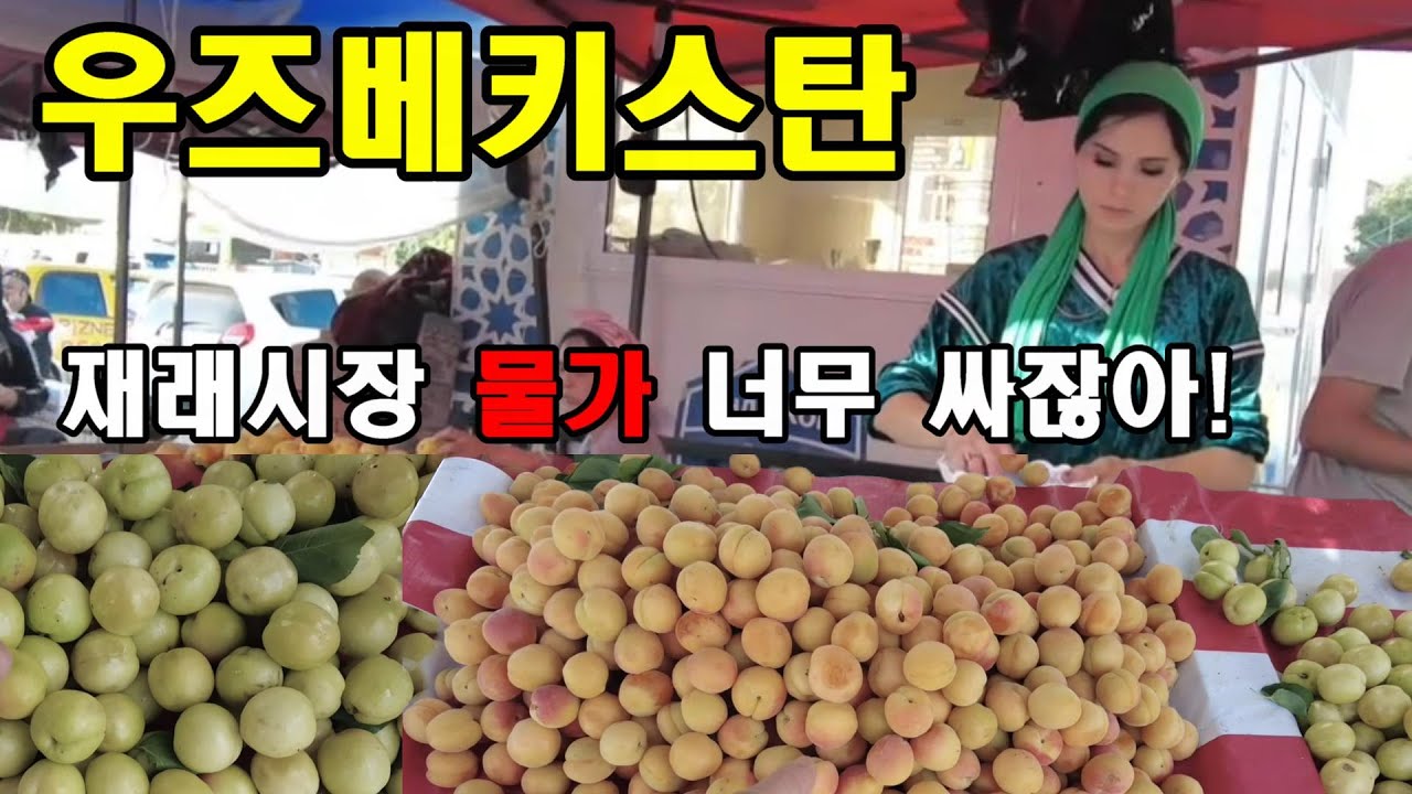 [은퇴 후 우즈베키스탄] (1) 키르키즈에서 우즈벡 국경 도시를 가다.