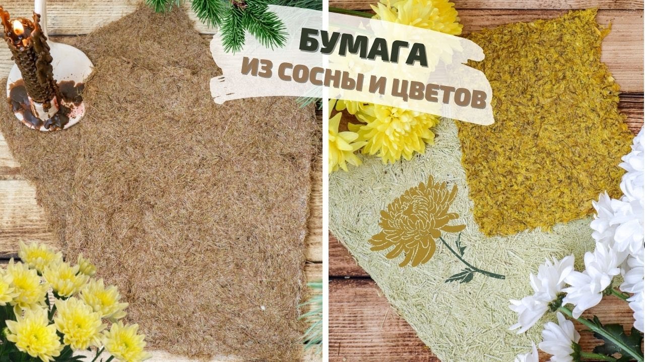 Бумага своими руками ИЗ СОСНОВЫХ ИГОЛОК И ЦВЕТОВ