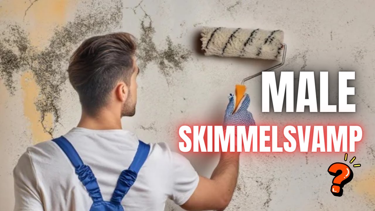 Kan man male skimmelsvamp væk? (Sådan gør du det rigtigt)