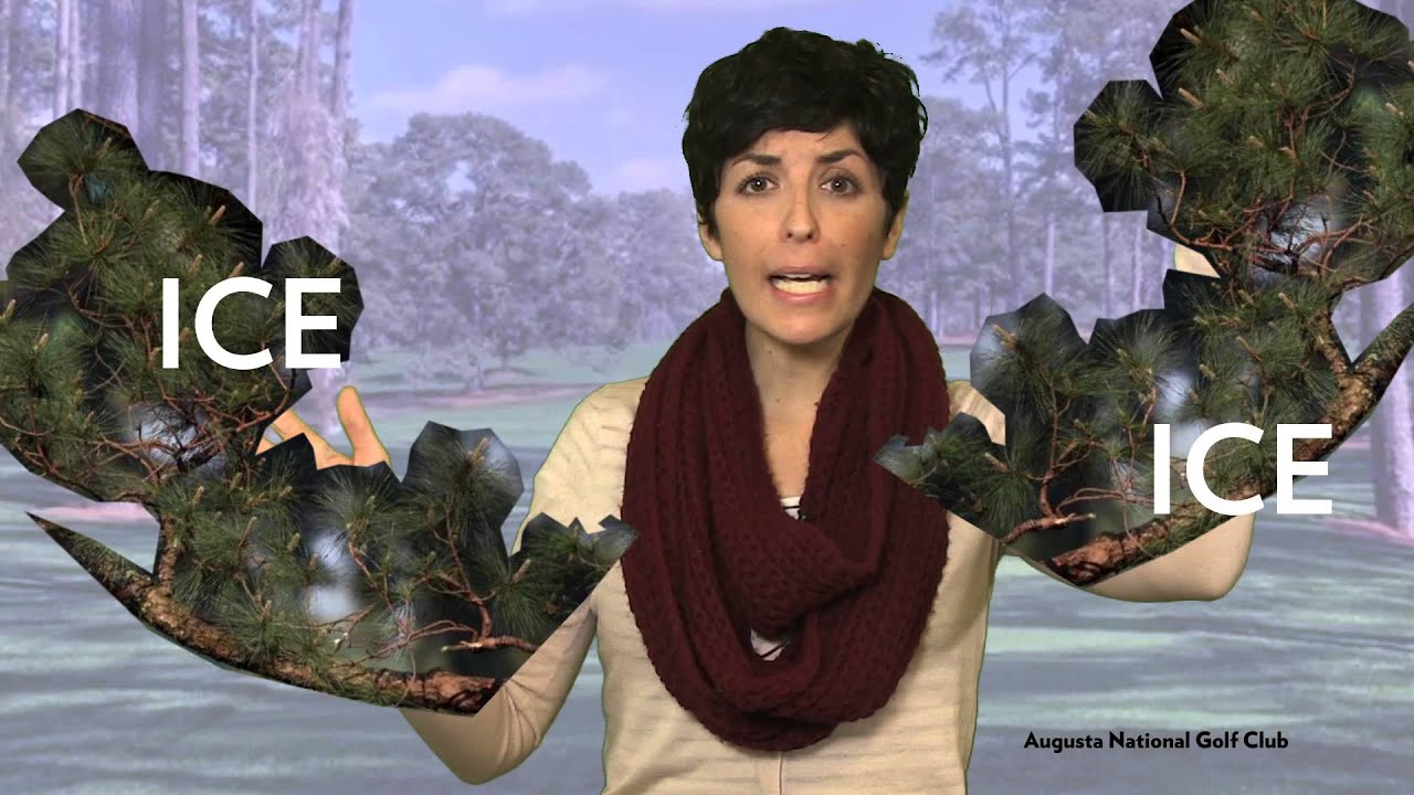 Weekly Weather Roundup: So Much Winter