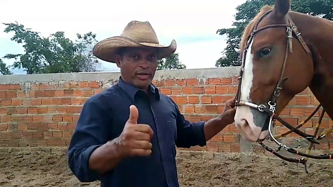 A TRANSI&Ccedil;&Atilde;O PARA PROFESSORA OU BREQUE.(Cavalo de vaquejada)
