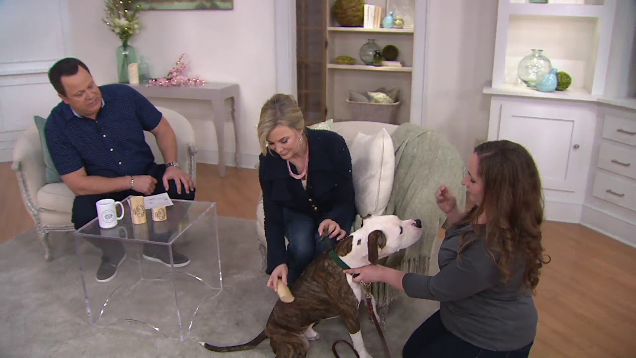 SleekEZ on QVC