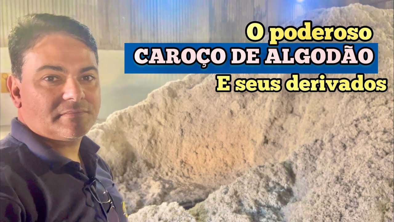 VISITEI ESSA FÁBRICA DE TORTA DE ALGODAO E FARELO DE SOJA | ME ENCANTEI COM ESSE PROCESSO
