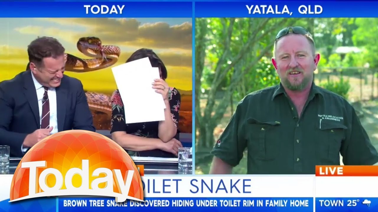 Snake catcher's toilet story has TV hosts in stitches