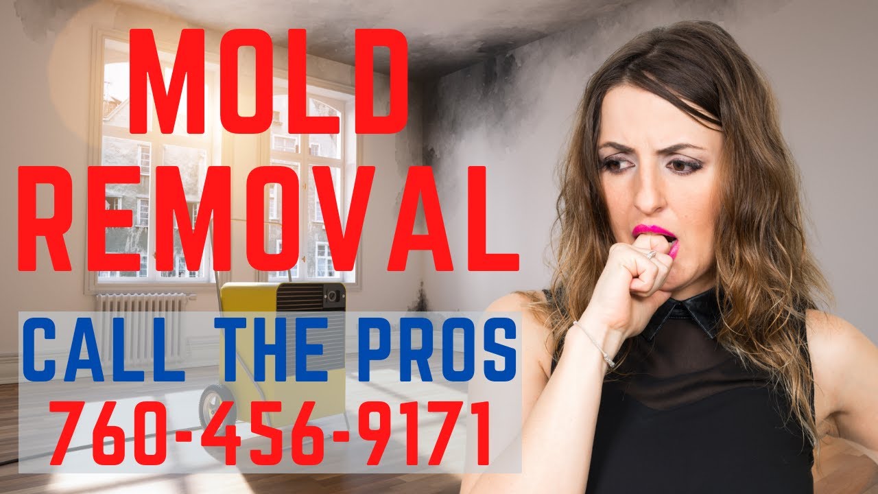 Water Damage Restoration & Mold Remediation Encinitas, Ca 92024 | Best Mold Removal | 760-456-9171
