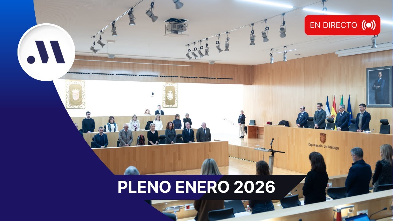 Pleno ordinario de la Diputaci&oacute;n de M&aacute;laga. Enero 2026