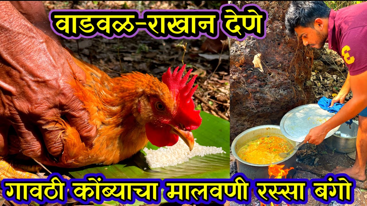वाडवळ-राखान देणे.कोकणातील गावठी कोंबड्याची राखान.gavathi kombdicha rassa malvani . A Day In Village