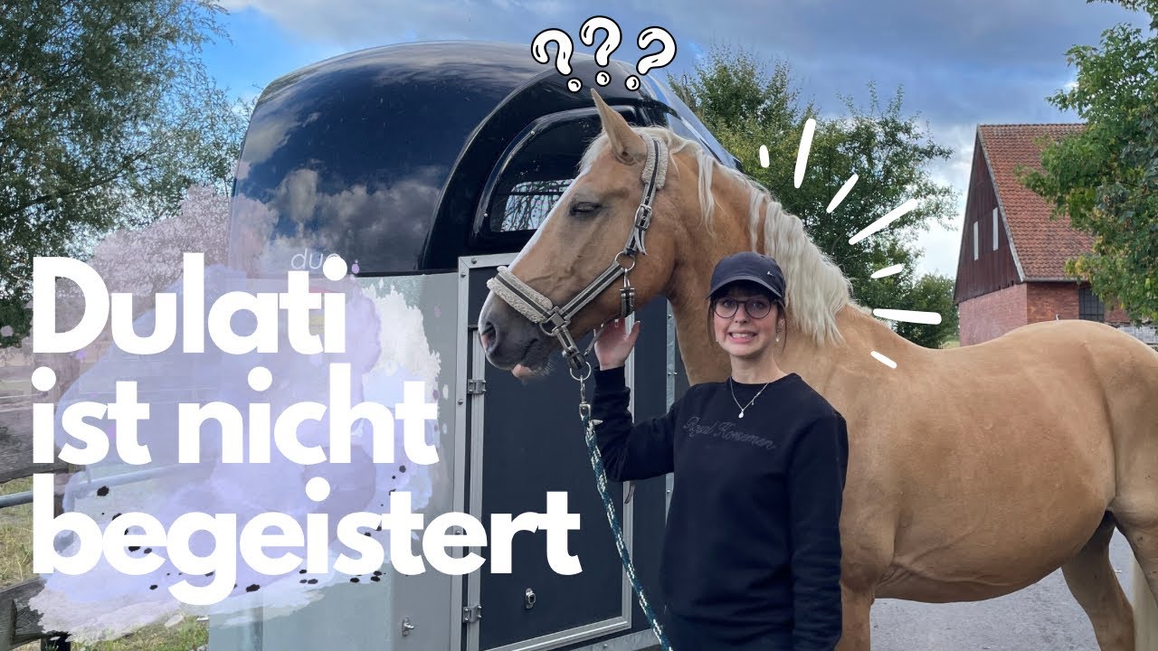 HÄNGERTRAINING mit DULATI😬