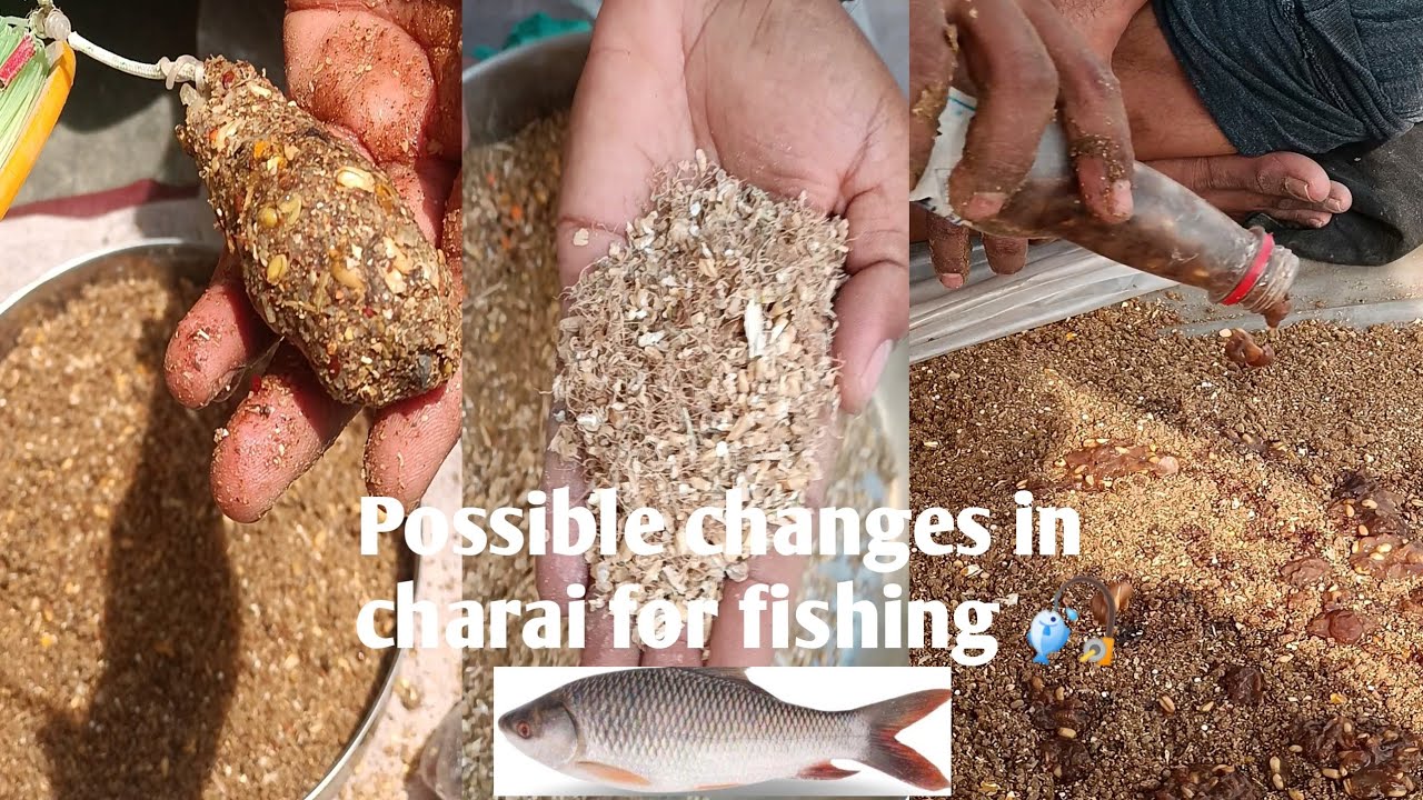 How To Make Charai For Fishing|possible changes for fishing