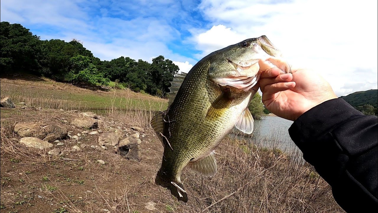 Bass fishing Coyote Lake in gilroy!