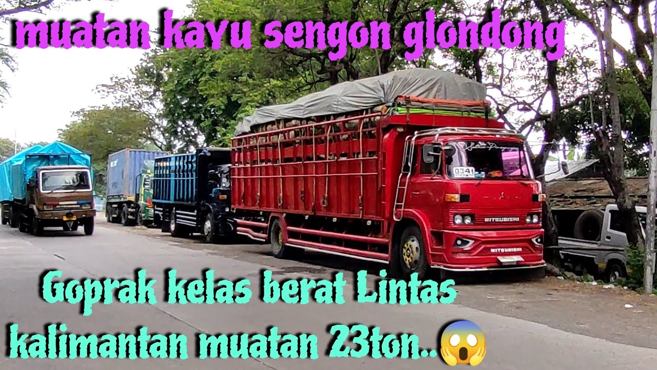 Truk Goprak siluman 9m muatan kayu glondong 23ton dari Kalimantan tujuan Lumajang..!! 