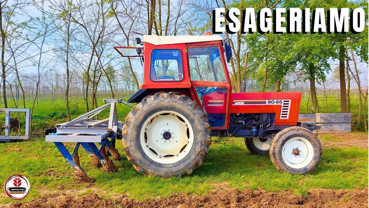 RIPUNTATORE 5 ANCORE | Preparazione terreno semina patate