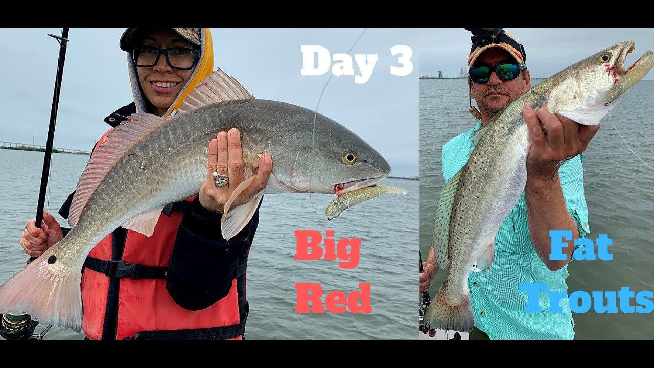 Day 3 Big Trouts and Plenty of Redfish