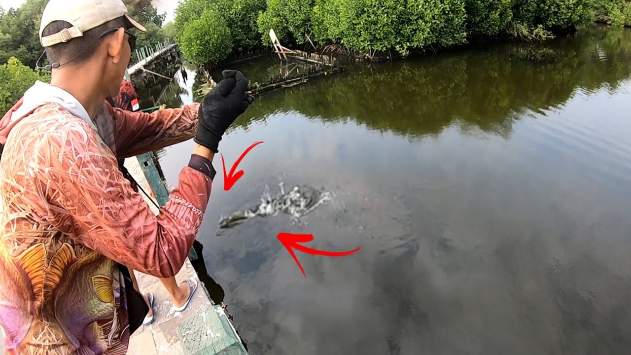 Semua Panik ..!! Jangan Coba Coba Bertarung Dengan ikan ini Sendiri Kalo Kalian Gak Mau Menyesal