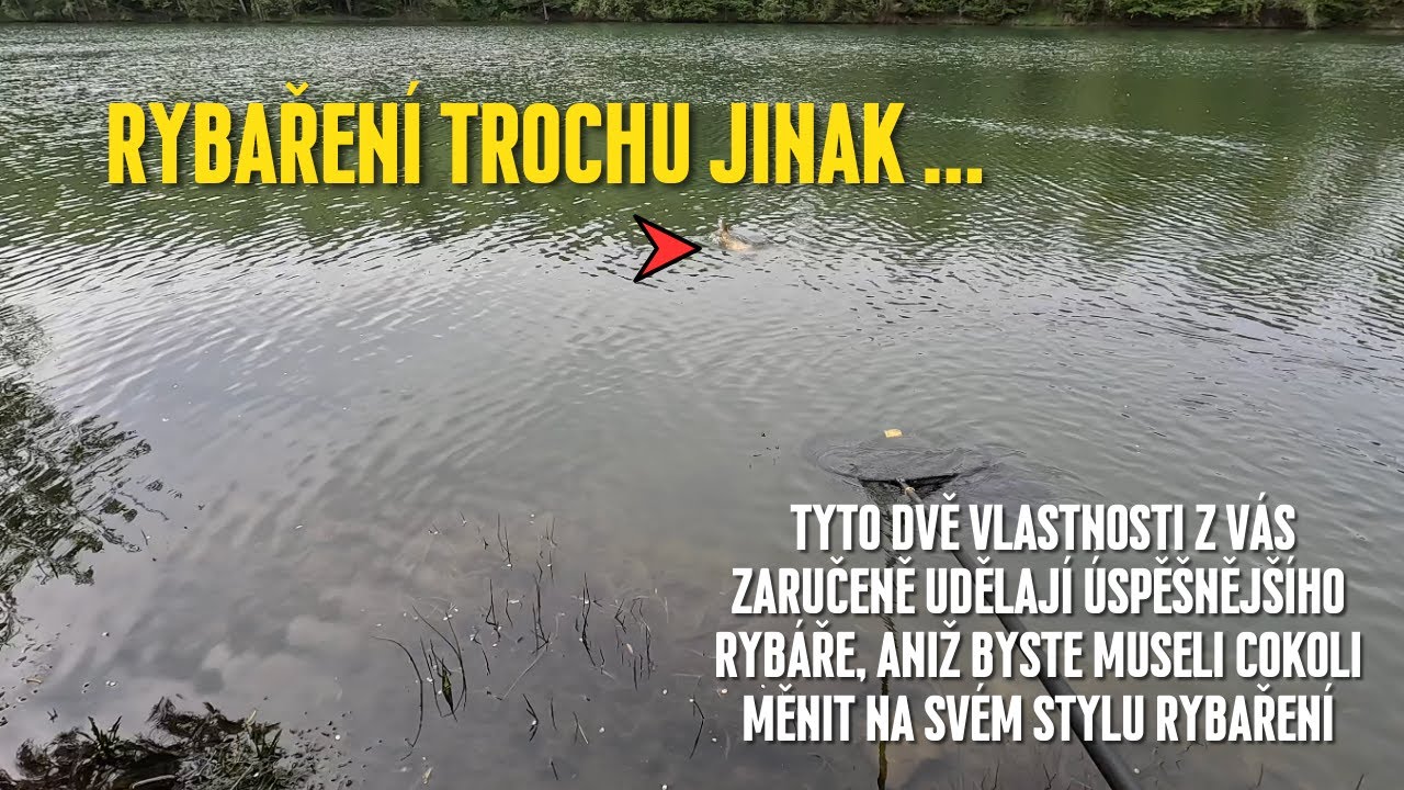 Tyto dvě vlastnosti z vás zaručeně udělají úspěšnějšího rybáře. A nemusíte nic měnit ani kupovat!
