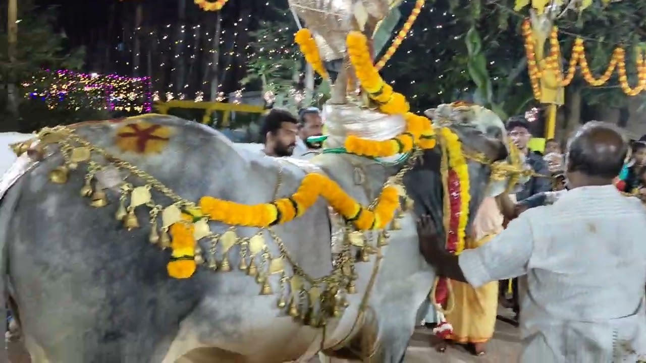 Buddala chinnaya gari seva GARIDI SIVAJIPALEM