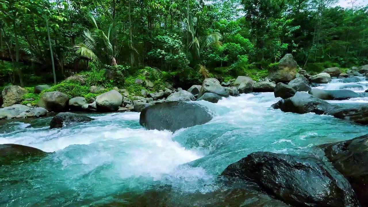 🌊 Relaxing River Sounds for Deep Sleep |  Nature Ambience
