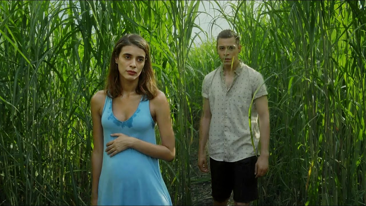 Brother and Sister Trapped in a Mysterious Tall Grass Field | Film Explained in Hindi/Urdu Summarise