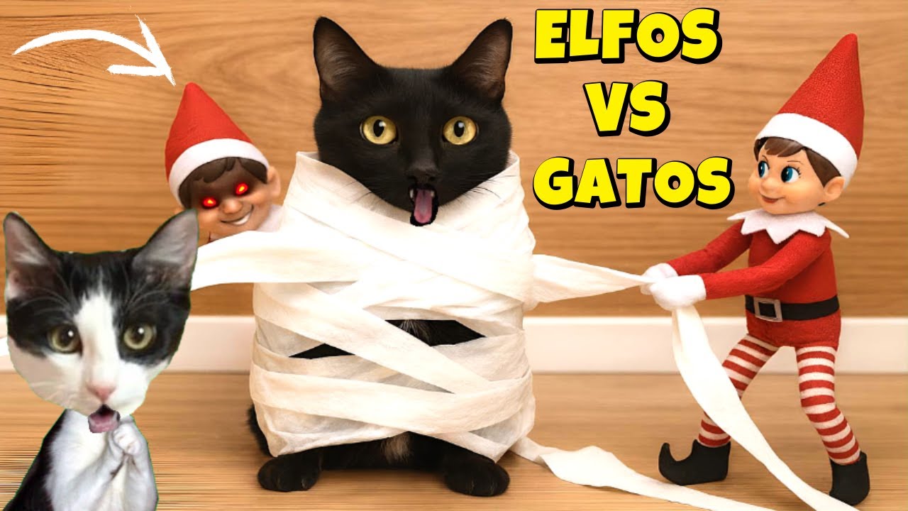 😱 ELFOS TRAVIESOS de NAVIDAD hacen TRAVESURAS a los GATOS Luna y Estrella | Elf on the Shelf
