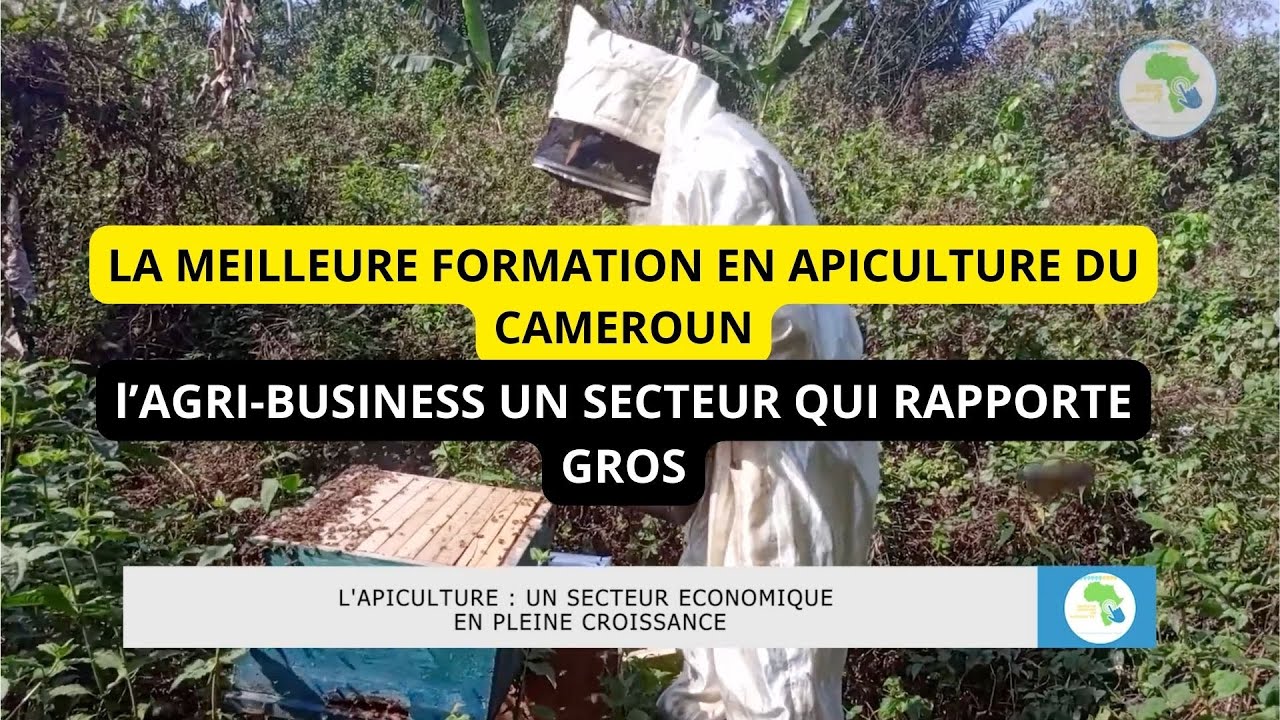 Reportage Cameroun, l'apiculture un business rentable avec une bonne formation