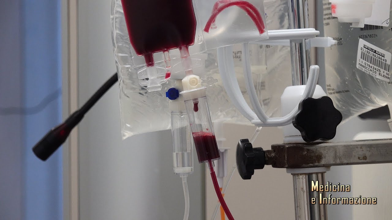 Trapianto di midollo nei tumori del sangue: autologo o allogenico? e in quali casi?