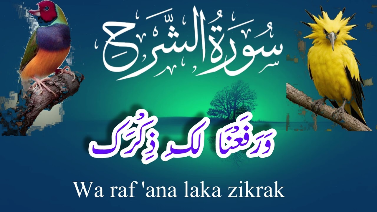  💕Surah Alam Nashrah Laka Sadrak In English 💕