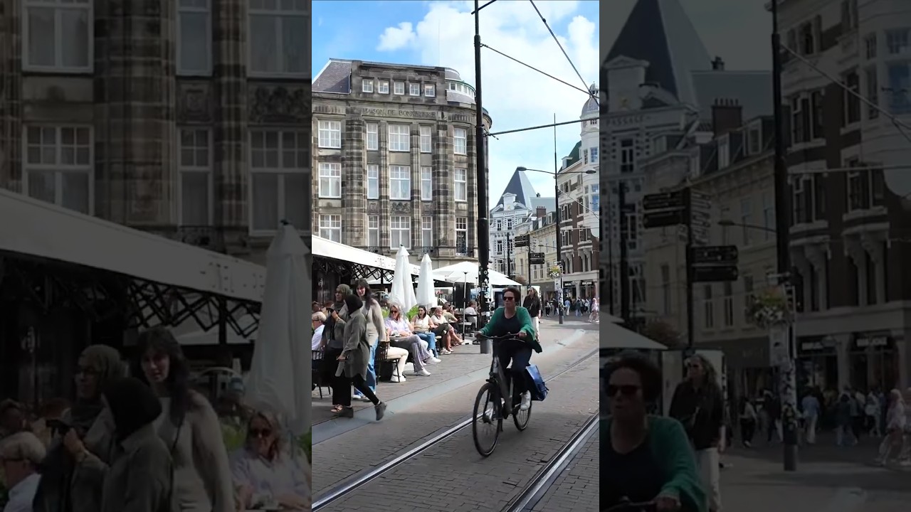 Walking in Beautiful The Hague #netherlands #travel