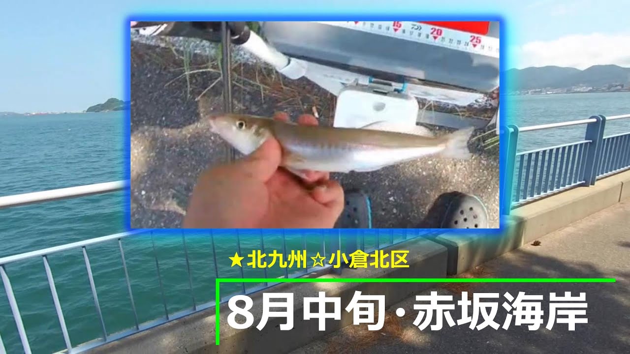【8月中旬】☆北九州★小倉・赤坂海岸・ちょい投げ探索♪